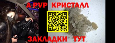 стаф Камышлов