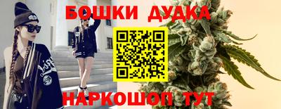 стаф Камышлов