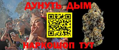 стаф Камышлов