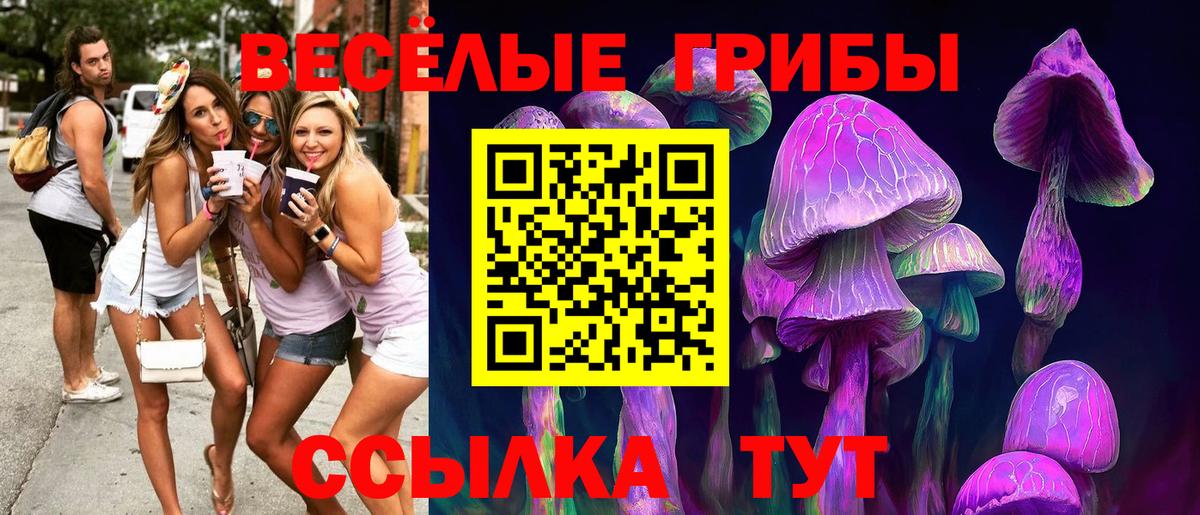 Галлюциногенные грибы Psilocybine cubensis Шатура