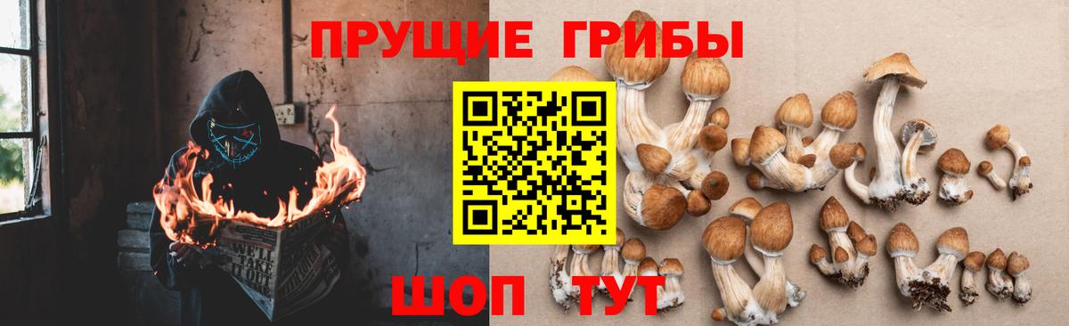 Шатура  Псилоцибиновые грибы GOLDEN TEACHER  Псилоцибиновые грибы мицелий  Вход с VPN 